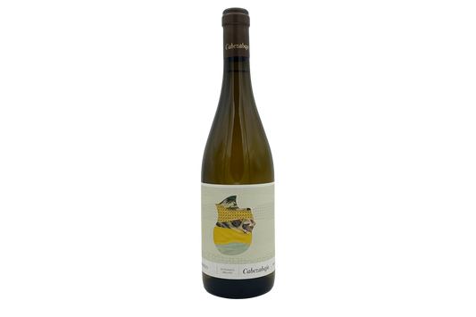 Real Compañia de Vinos 2024 Cabezabajo Verdejo (bio)