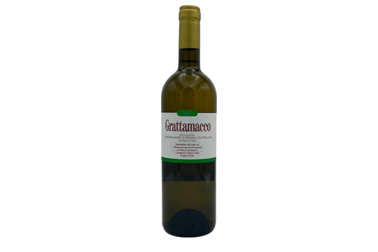 Grattamacco 2023 Bolgheri Vermentino