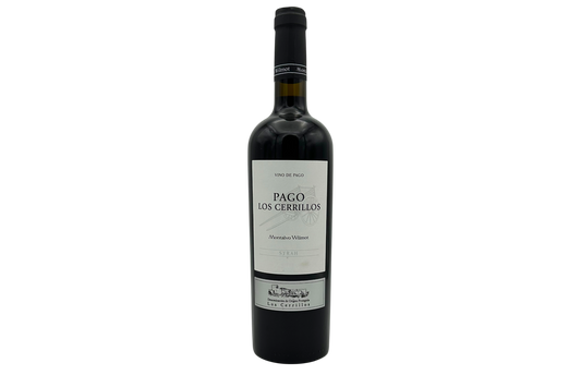 Montalvo Wilmot 2020/2022 Pago Los Cerillos Syrah
